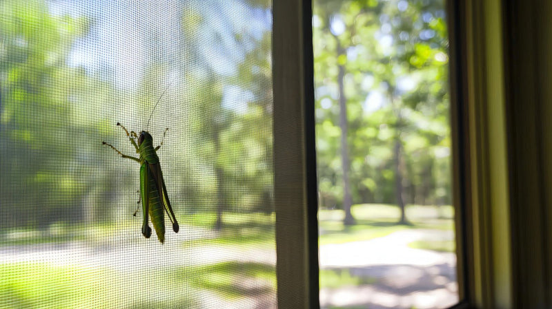 So findest du die richtige Größe für dein Fliegenschutzgitter