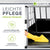 Hundebox Auto